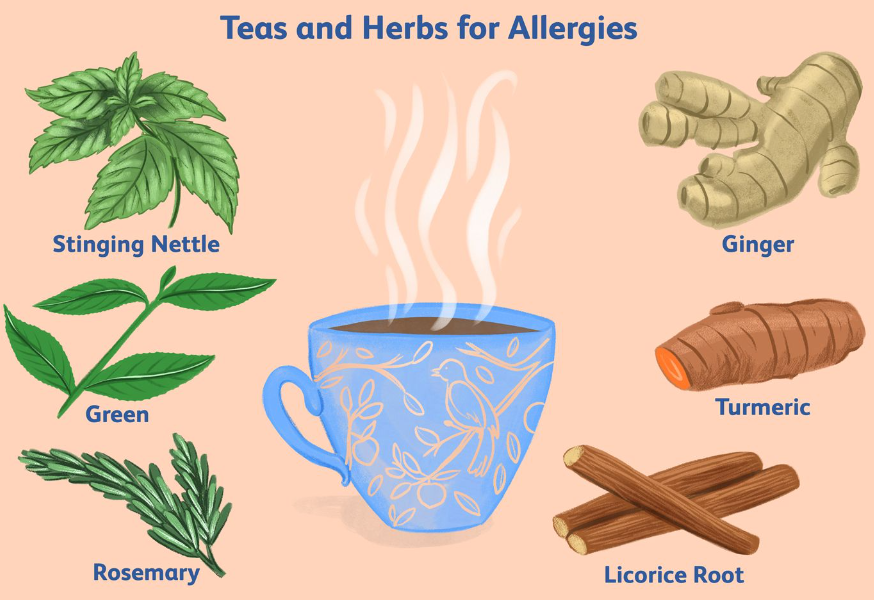 Plant-based allergy treatments